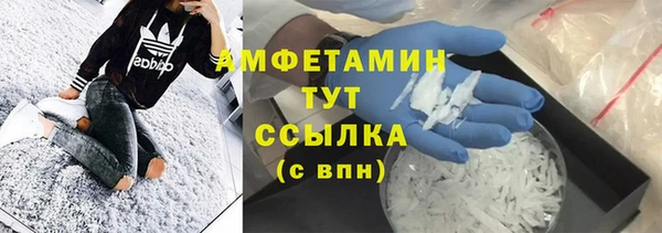 молекула духа Михайлов