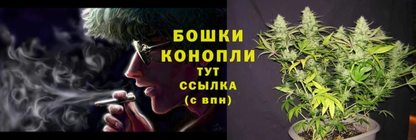 молекула духа Михайлов