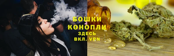 молекула духа Михайлов