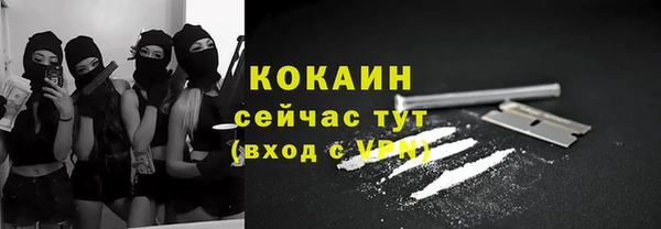 молекула духа Михайлов