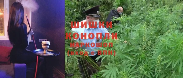 молекула духа Михайлов