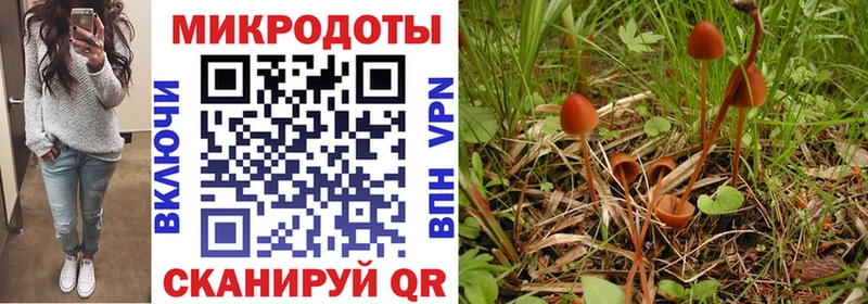Галлюциногенные грибы Magic Shrooms  Купить закладки  Мамадыш 